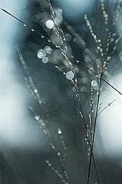 俯视角射击肉鸽游戏《Maniac》现已在Steam平台正式推出